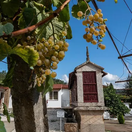 Donas E Cabaleiros * Boqueixon