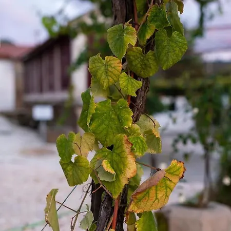 Donas E Cabaleiros Lejlighedshotel Boqueixon