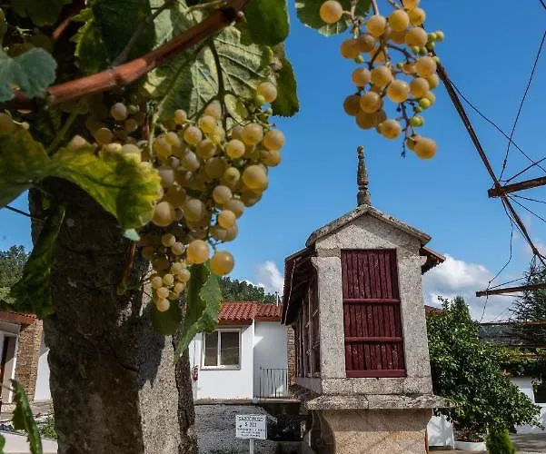Donas E Cabaleiros * Boqueixon