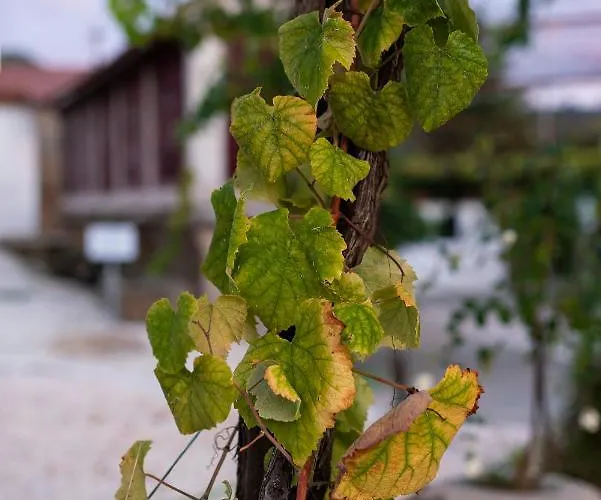 Donas E Cabaleiros Aparthotel Boqueixon